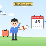 Thủ Tục Tiếp Nhận Du Học Sinh Tốt Nghiệp Về Nước (học Bổng Ngân Sách Nhà Nước)